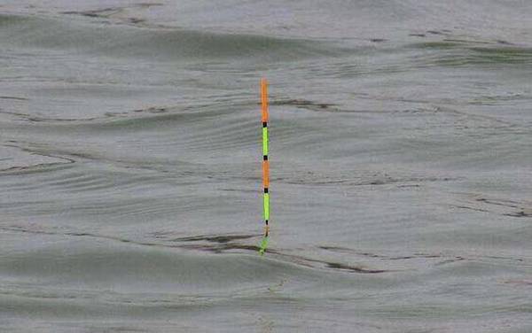 钓鲫鱼用什么漂最好?