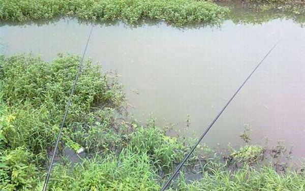 ��ͳ����9�׸ͻ���10�׸ͣ�