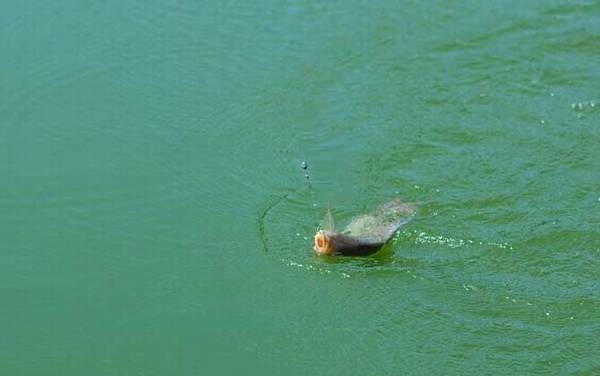 ����������ü����乳��