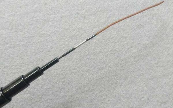 ��ͳ���Ͷ೤����ʵ�ã�