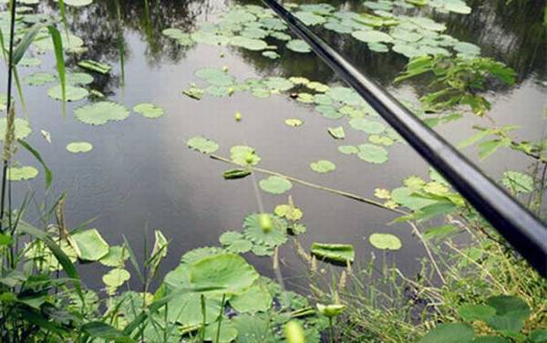 ��ͳ����9�׸ͻ���10�׸ͣ�