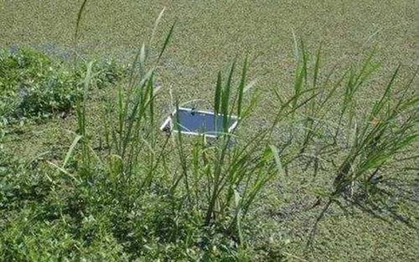 ��ͳ����೤���ߣ�