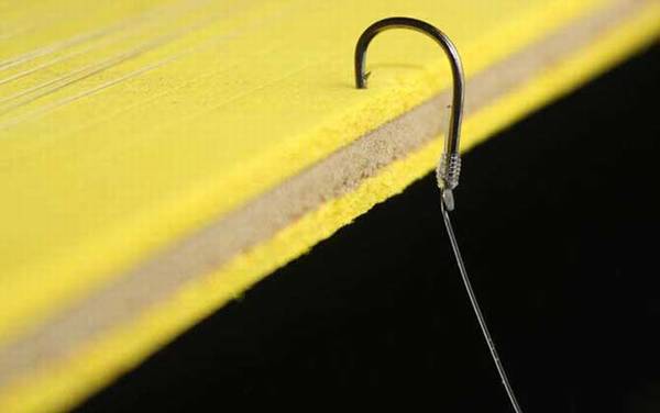 1.5子线能钓多大的鱼?