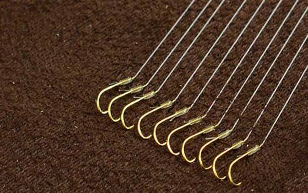 1.5子线能钓多大的鱼?