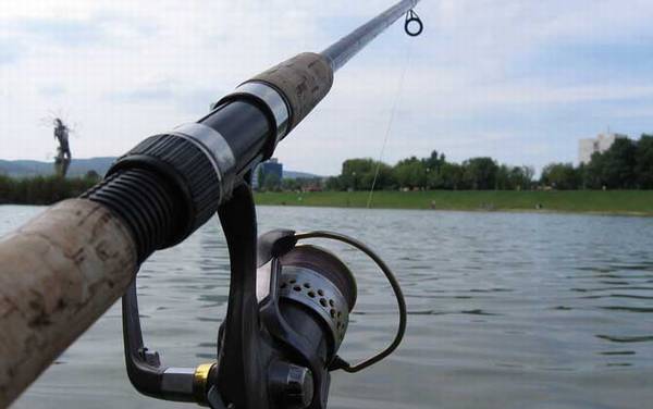 钓大鱼用什么鱼竿?