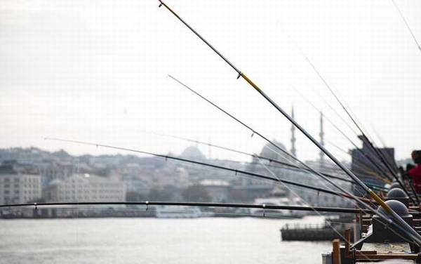 钓大鱼用什么鱼竿?