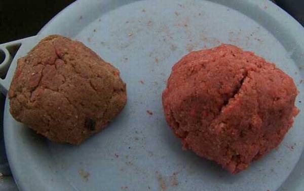 钓鱼工具种类及图片大全