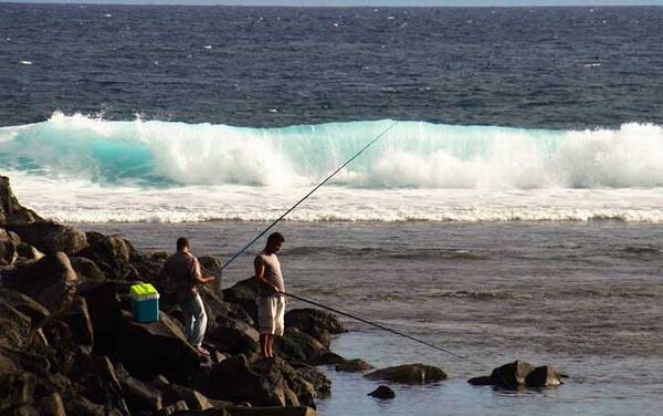 海钓用什么渔线轮好?