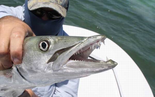 海钓用什么渔线轮好?