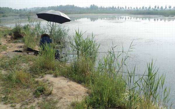 野钓用什么鱼竿最好?