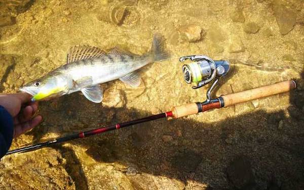 路亚竿的使用方法及注意事项