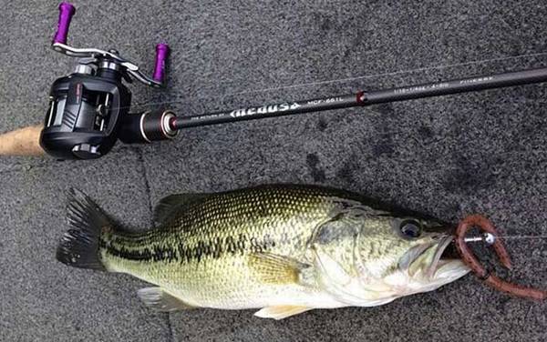 路亚竿和海竿有什么区别?