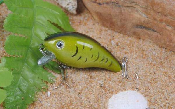 路亚钓法要哪些装备?