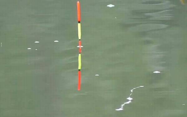 野钓怎么选择浮漂?