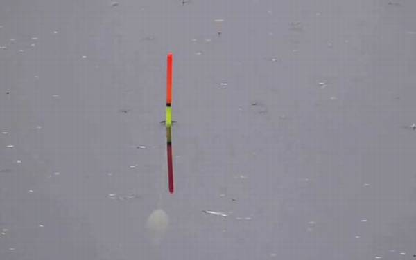 野钓浮漂吃铅多少合适?