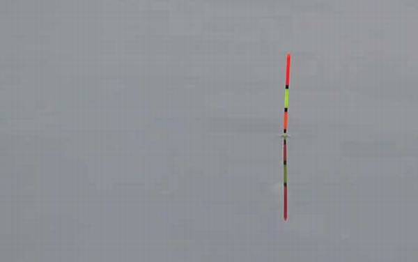 野钓浮漂吃铅多少合适?