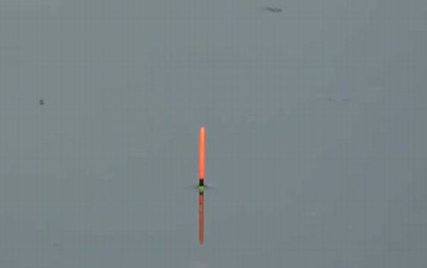 钓鱼用立漂好还是七星漂好?