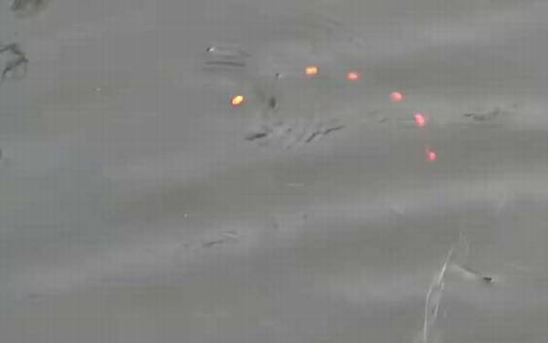 钓鱼用立漂好还是七星漂好?