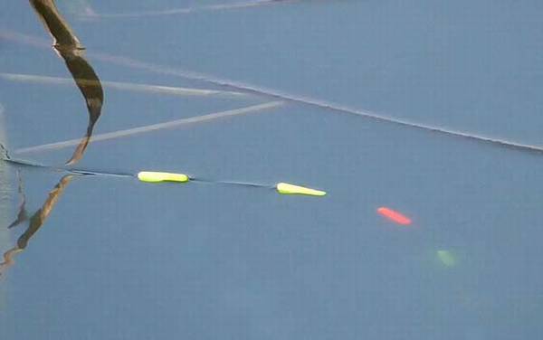 立漂和七星漂哪个好用?