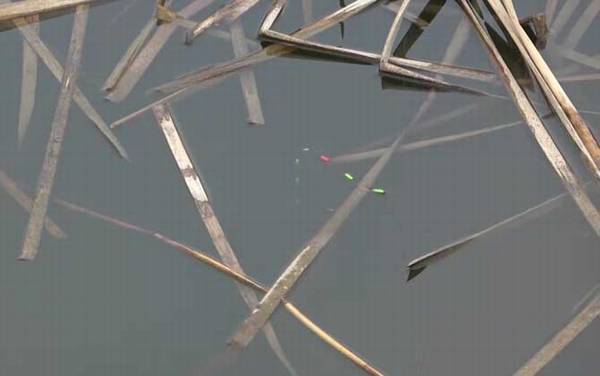 七星漂钓大鱼好用不?