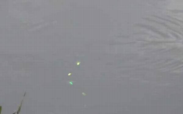 七星漂钓大鱼好用不?