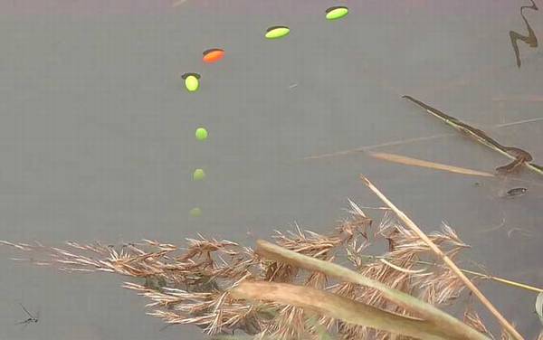 七星漂流水能钓鱼吗?