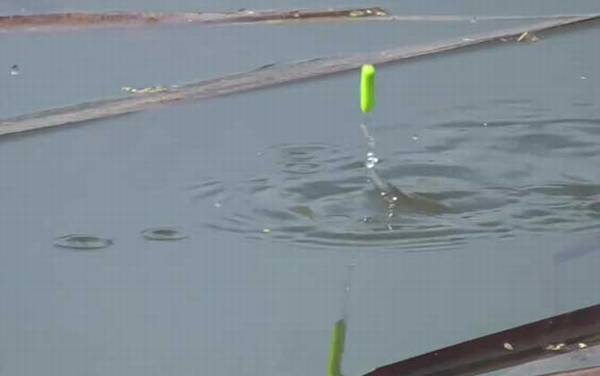 七星漂能用商品饵料钓鱼吗?