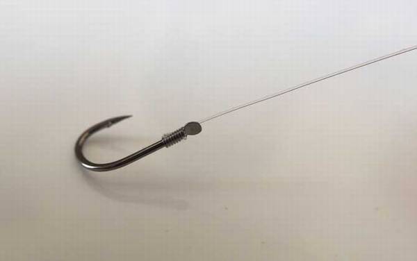 5.0号子线秒切鱼有多大?