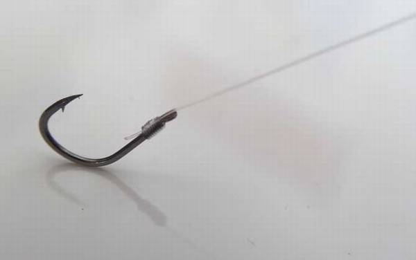 6.0号子线能钓多大的鱼?