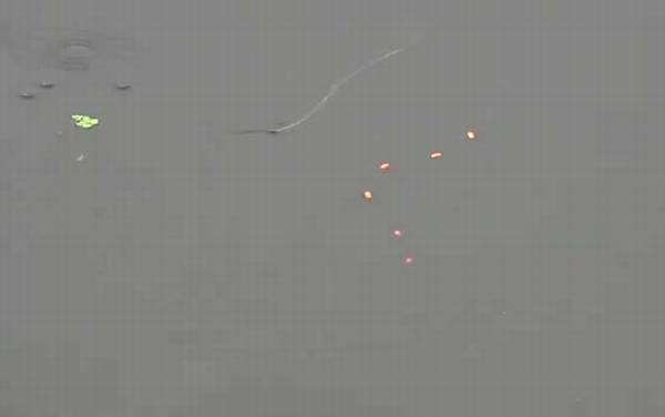 七星漂用朝天钩好还是普通钩好?