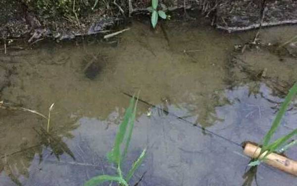 钓黄鳝的钩子怎么做?