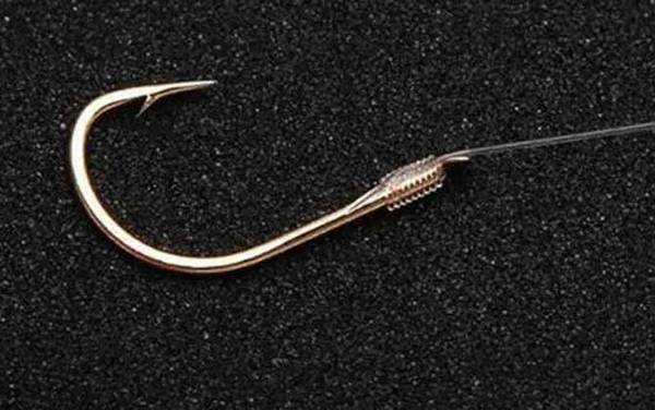 2.5号子线能钓多大鲢鳙鱼?