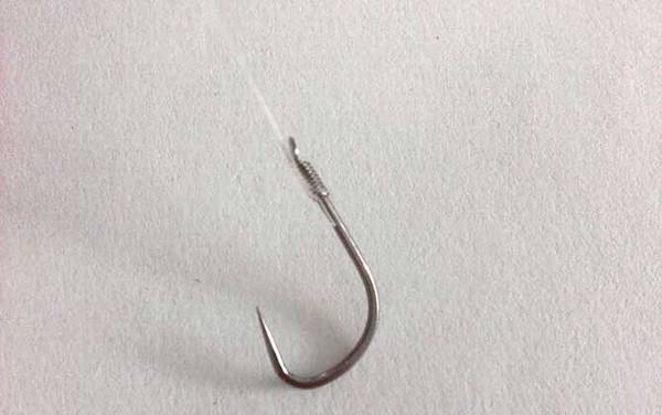 0.4号子线能钓多大的鱼?