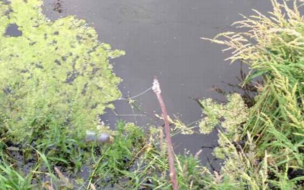 钓龙虾怎么选钓点?