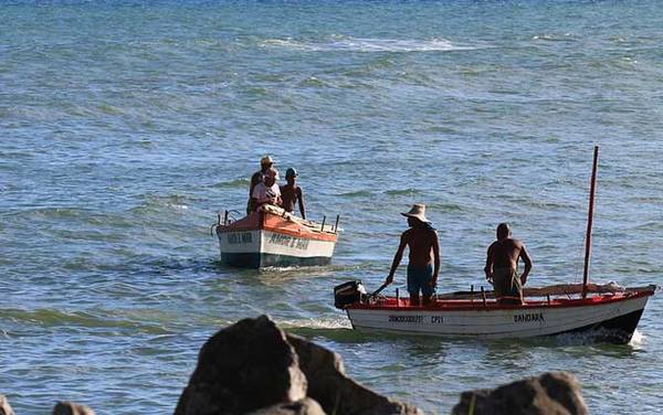 钓鱼有什么技巧?