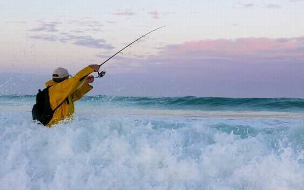 钓鱼有什么技巧?