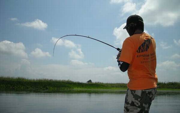 钓鱼有什么技巧?