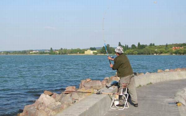 钓鱼有什么技巧?