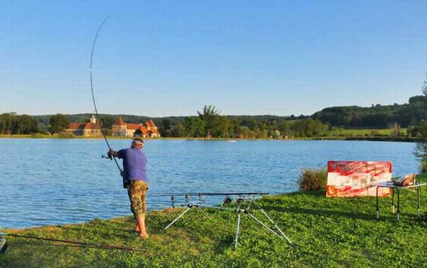 钓鱼有什么技巧?