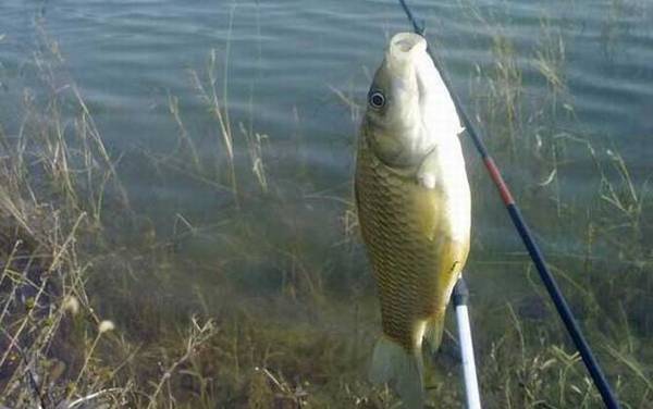 冬季钓鱼有哪些技巧?