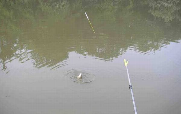 台钓调漂最简单的方法