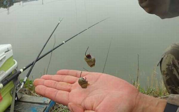 台钓新手如何快速入门?