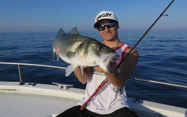 初夏钓鱼有什么技巧?