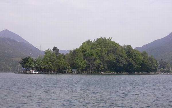 初夏钓鱼有什么技巧?