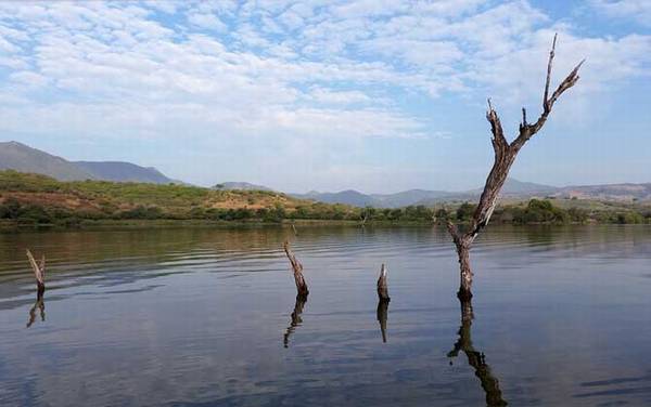 初夏钓鱼有什么技巧?