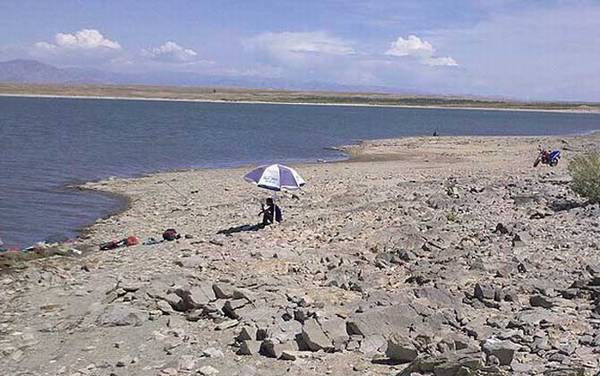 初夏钓鱼有什么技巧?