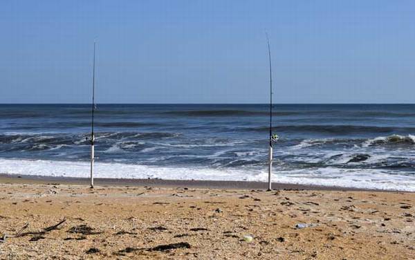 初夏钓鱼有什么技巧?