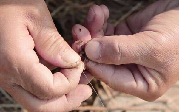 钓鱼怎么调漂和找底?