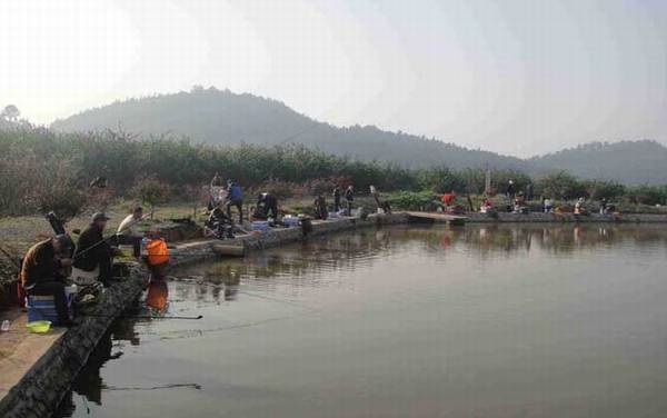 台钓实用技巧大全
