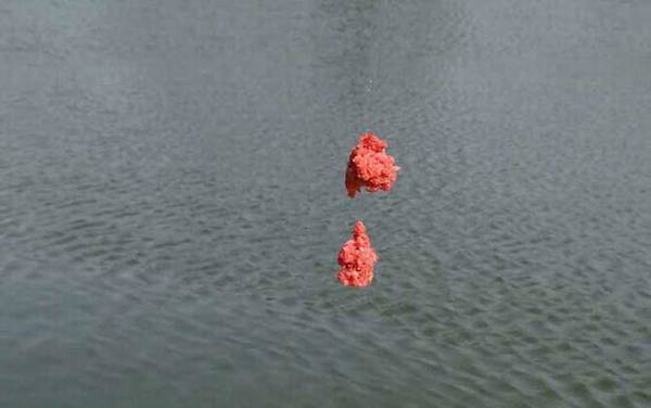 初春在水库里能钓鱼吗?